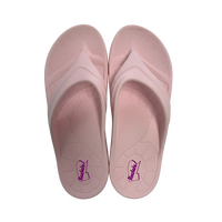 Rocko's Coastie Pink